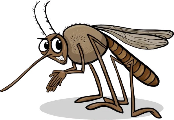 Mosquito